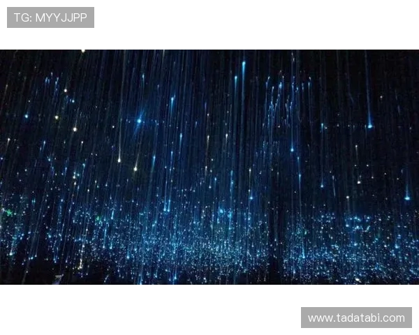 星空娱乐用户登录入口及账号安全保障指南