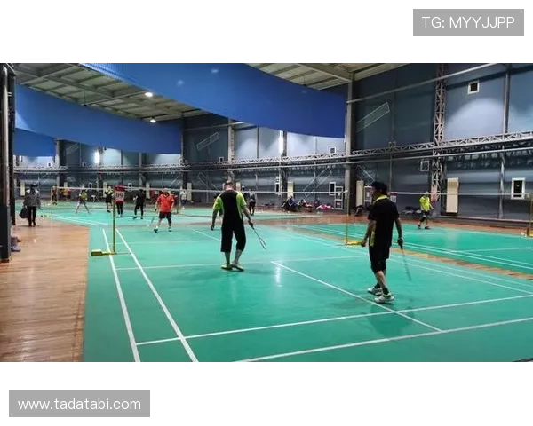 下载半岛app综合体育的常见问题解答与解决方案