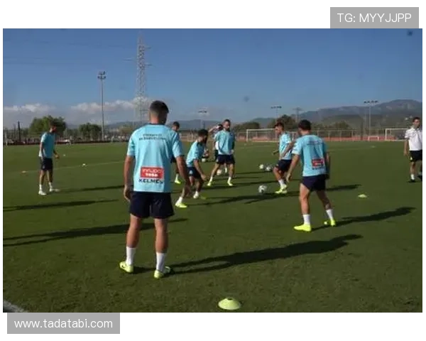 乐动体育论坛:体育赛事直播互动体验与观众反馈分析