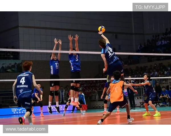 全面解析mk体育在线的体育赛事覆盖范围包括足球篮球排球等多种项目