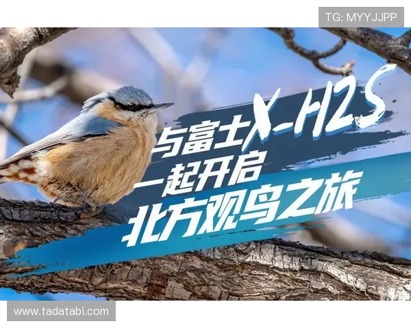 星空体育电子游艺游戏便捷的登录方式，轻松开启属于你的体育电竞之旅与荣耀时刻