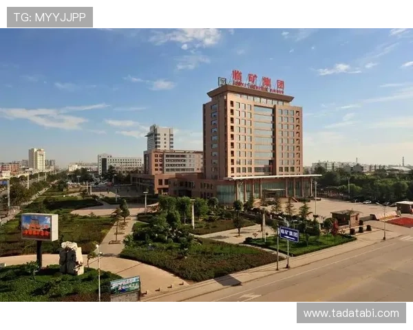 星空体育集团官网：品牌建设与市场推广的创新举措及效果