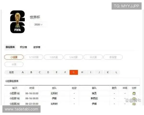 世界杯比利时对阵埃及比赛伤病最新情况全面分析与影响评估